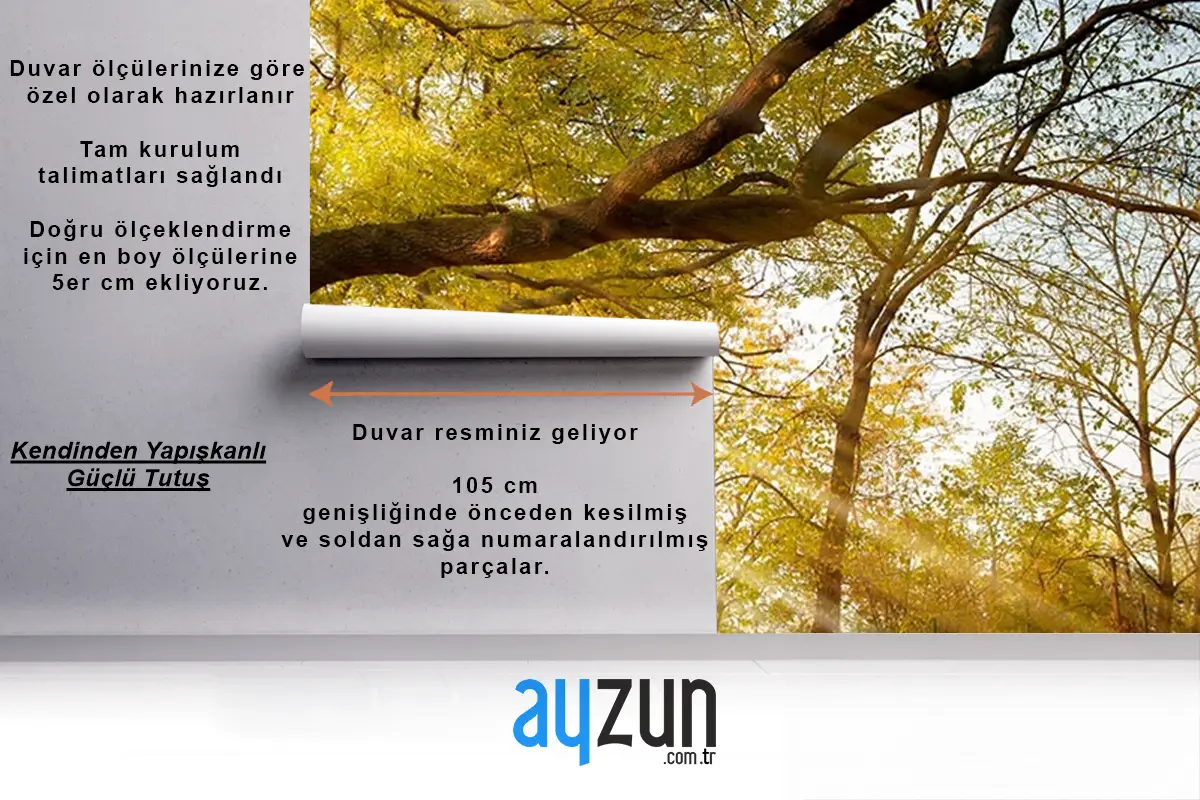 Ağaçlar Arasında Güneş Işıkları Manzarası