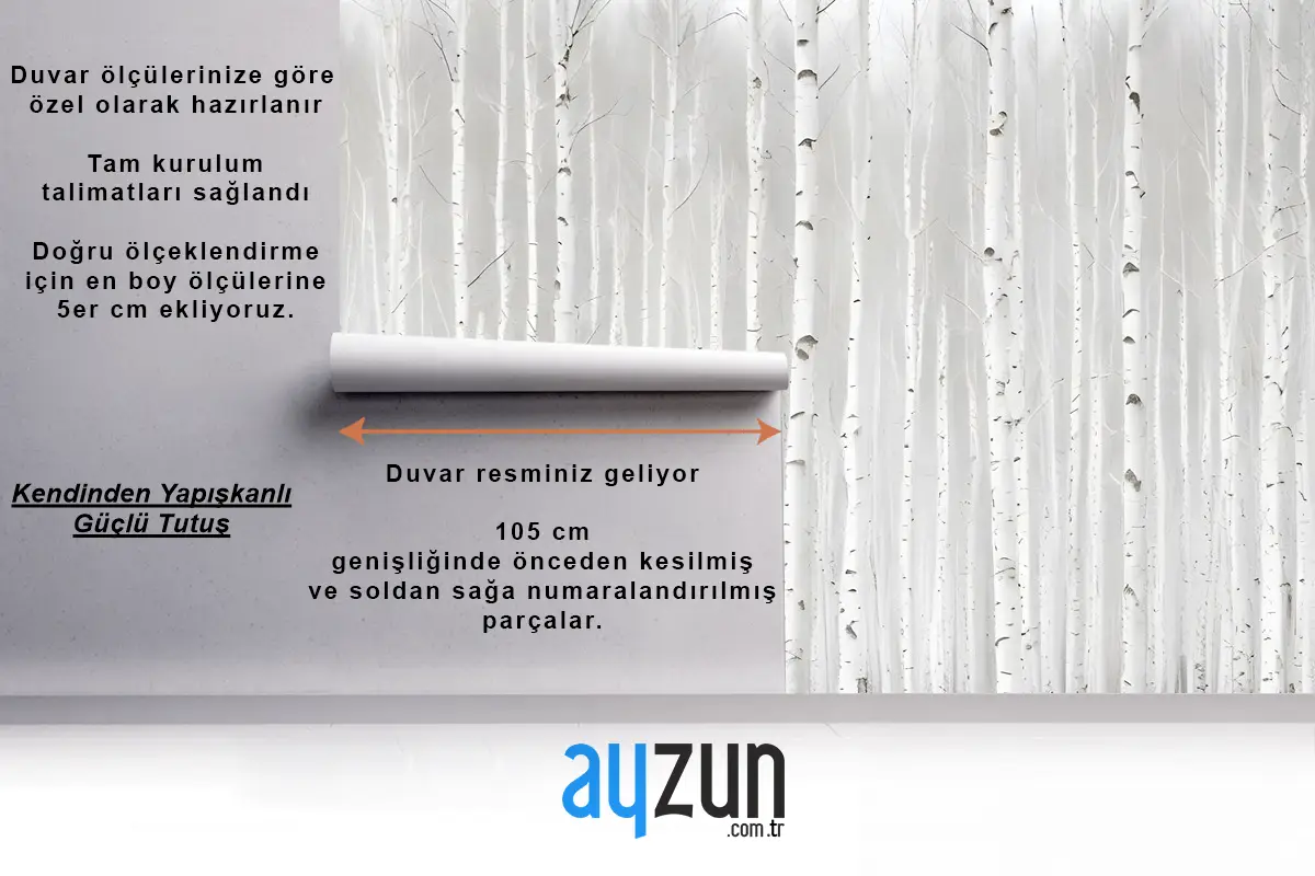 Kışın Huş Ağacı Ormanı Duvar Kağıdı