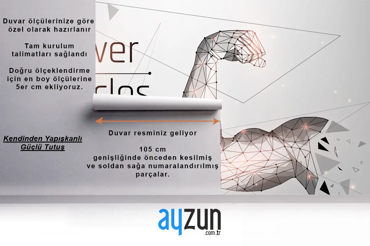 Güçlü Pazı Vücut Geliştirmeci Kasları Gym Duvar Kağıdı