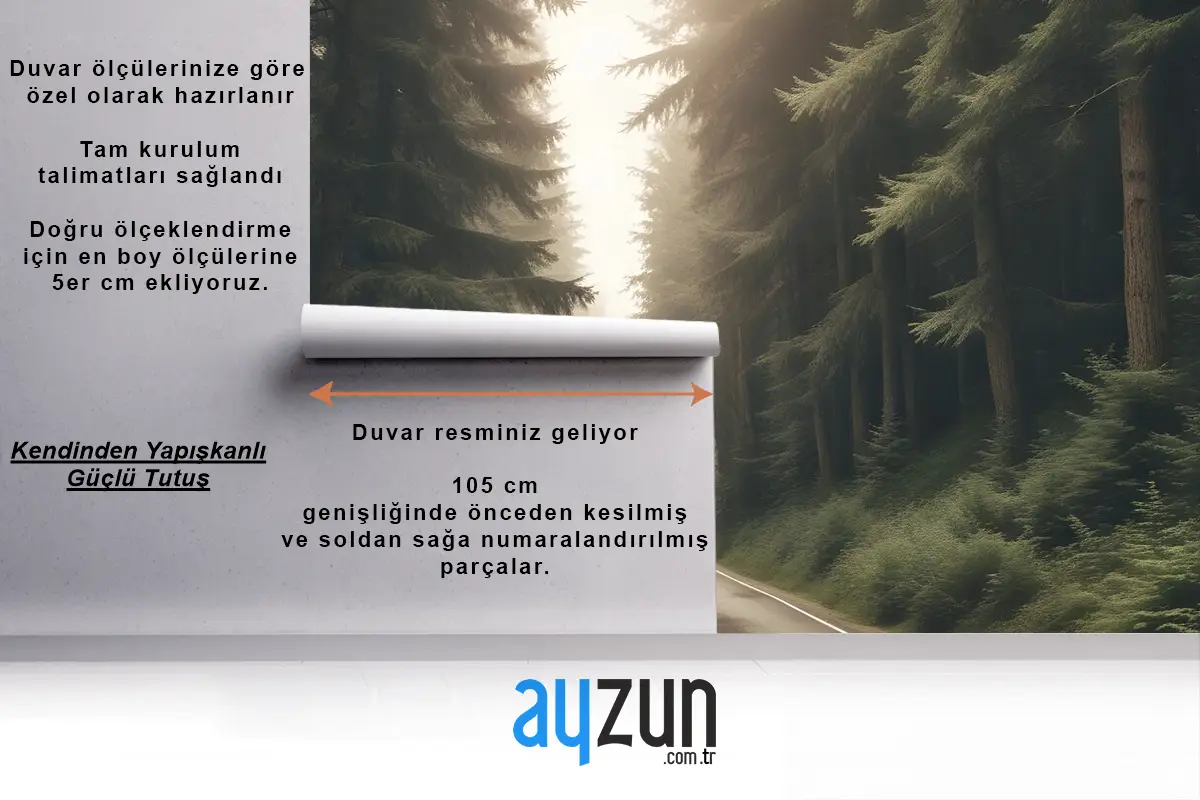 Orman Manzara Duvar Kağıdı Duvar Üzerinde Otoyol