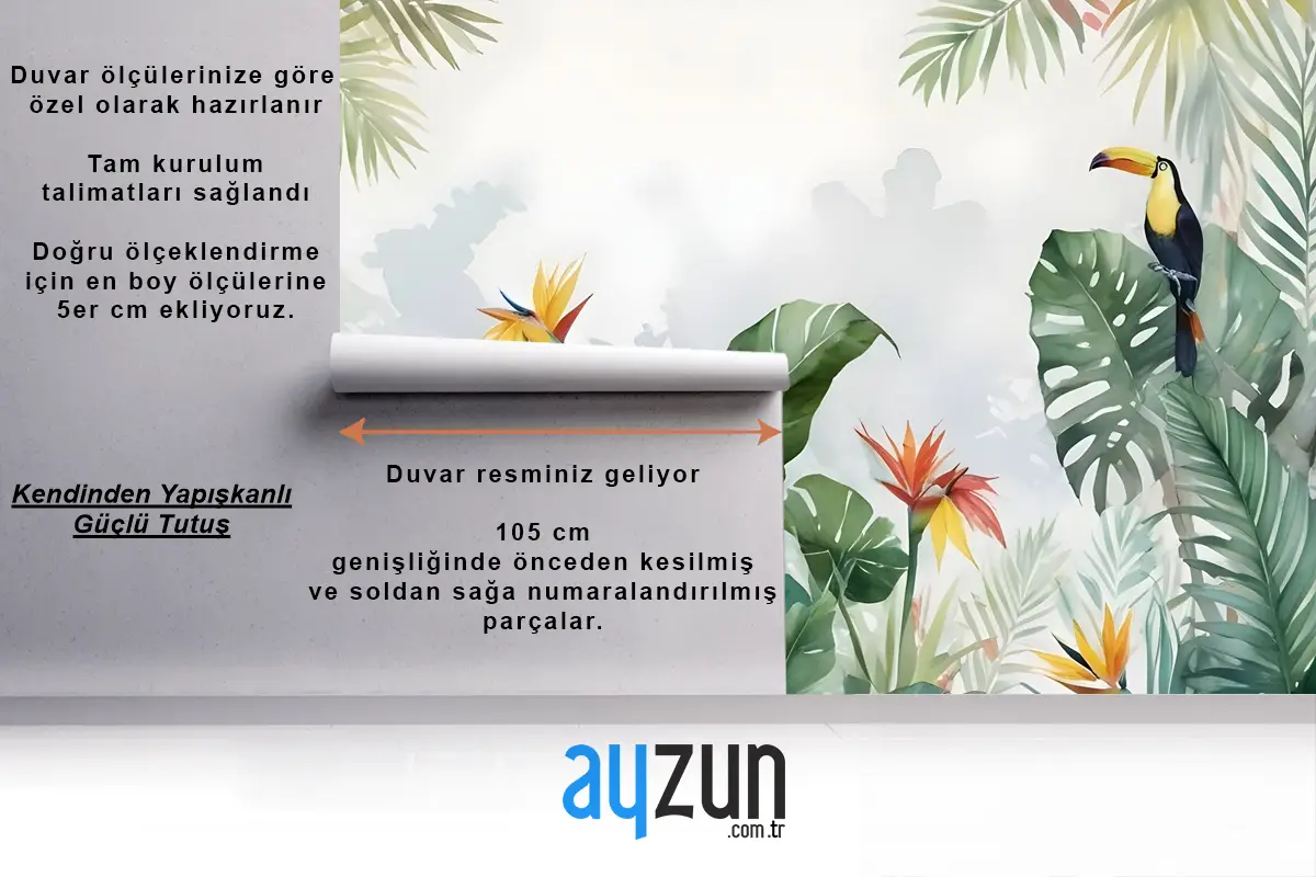 Tukanlar Ve Tropikal Yağmur Ormanları Duvar Kağıdı