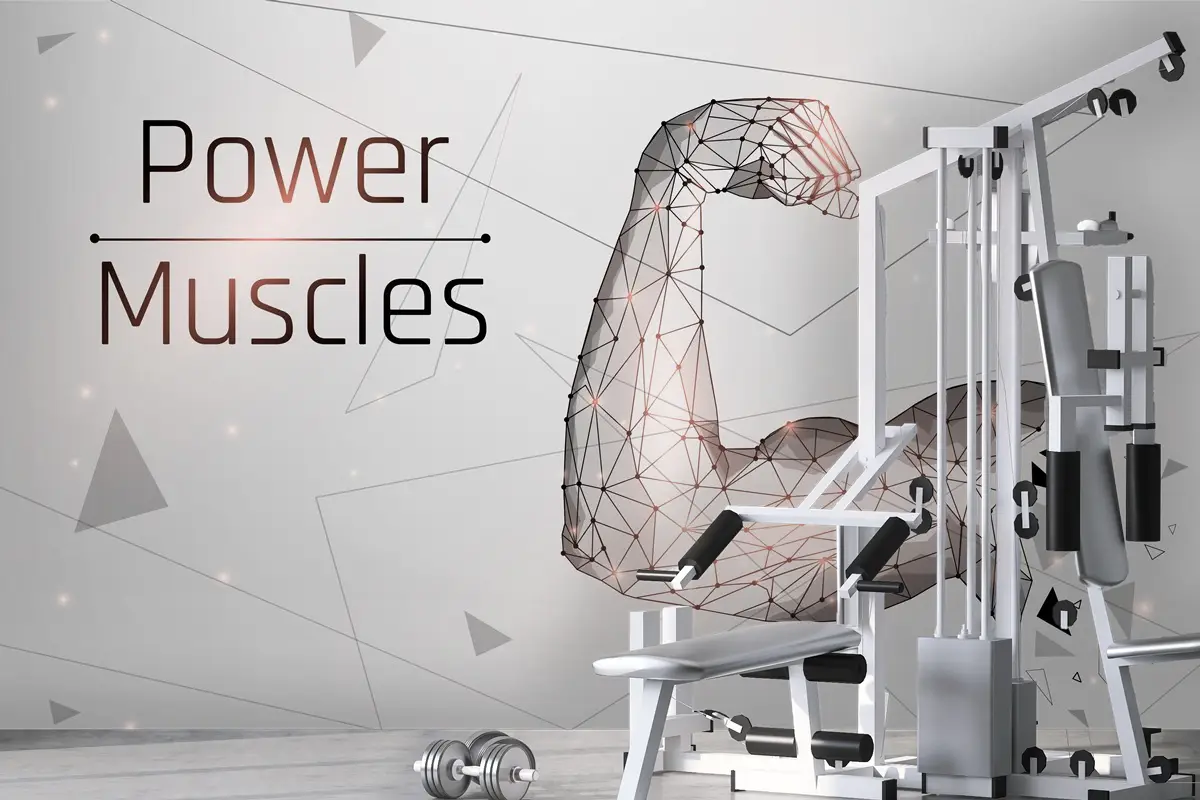 Güçlü Pazı Vücut Geliştirmeci Kasları Gym Duvar Kağıdı