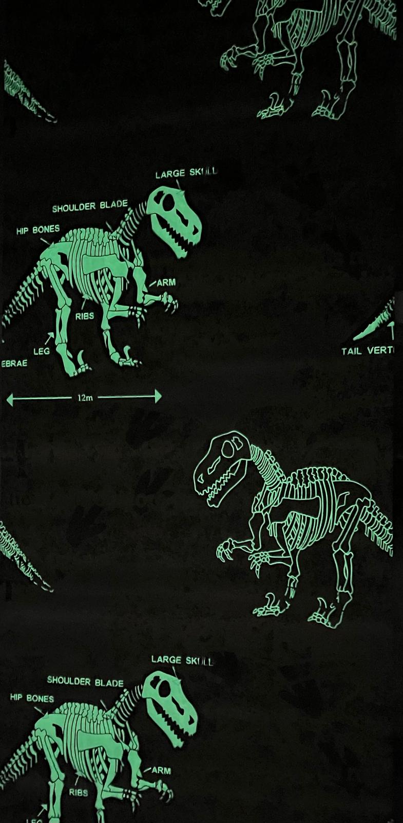 Karanlıkta Parlayan Dinozorlu Çocuk Odası Duvar Kağıdı 53152