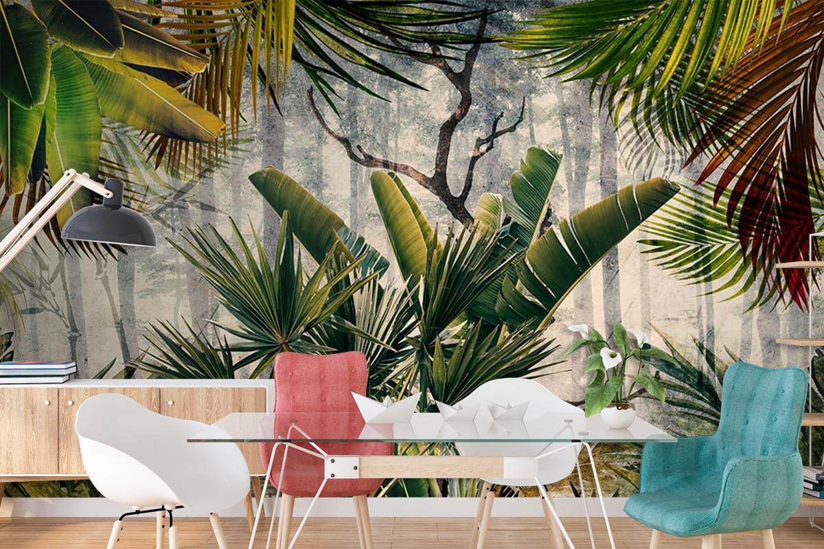 Amazon Ormanı Büyük Tropikal Ağaçlar Duvar Kağıdı