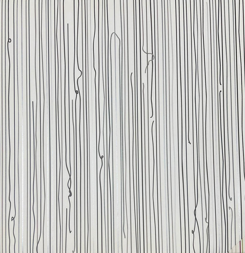 Organik Silinebilir Siyah Beyaz Antirasit Çizgili Duvar Kağıdı 3107