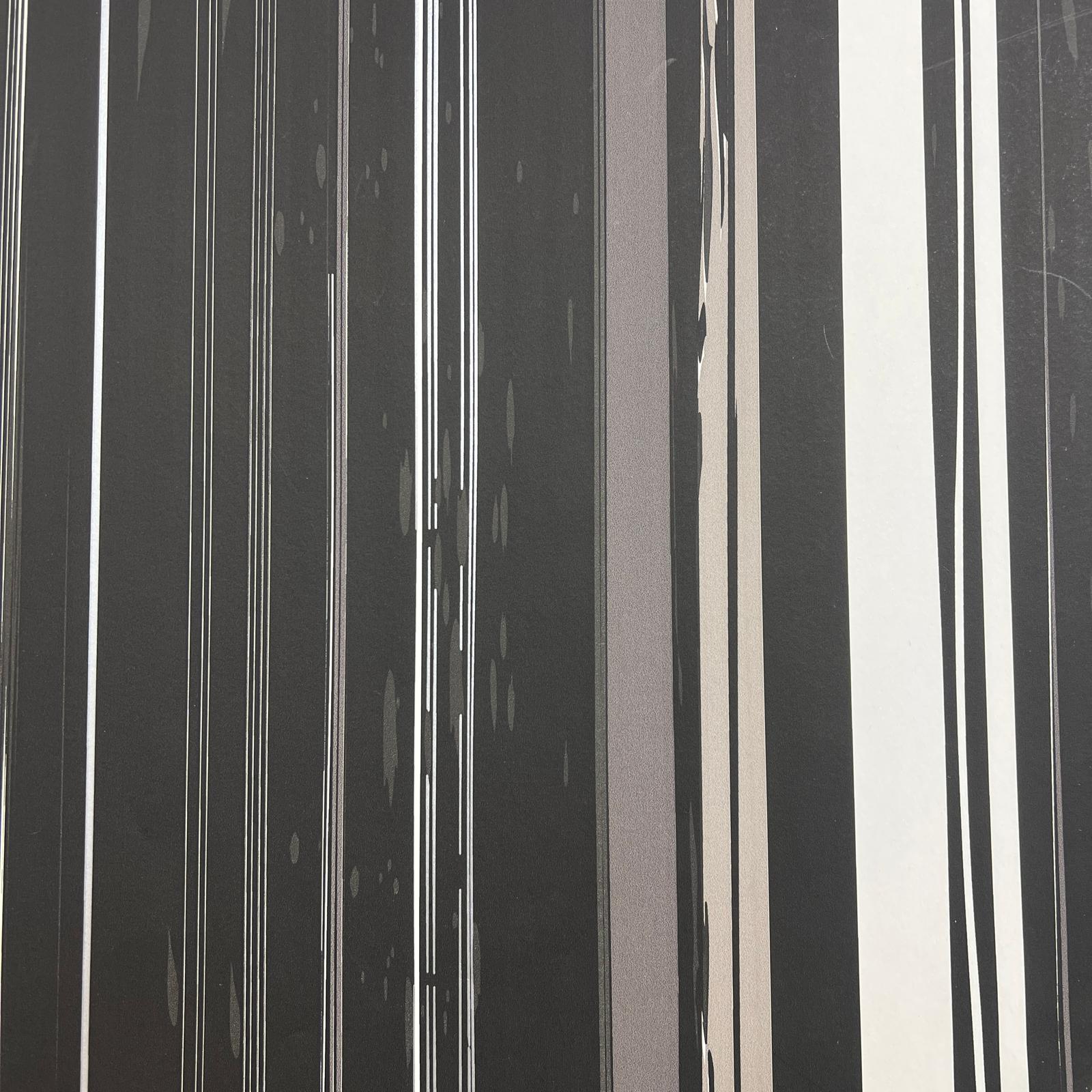 Siyah Beyaz Çizgi Desenli Duvar Kağıdı 3109