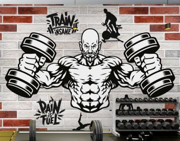 Tuğla Duvar Dambıl Fitness Duvar Kağıdı