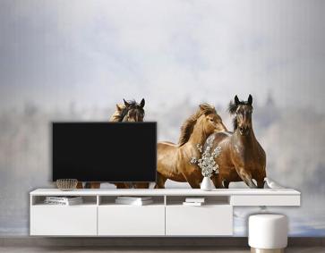 Koşan Atlar Duvar Kağıdı 3D