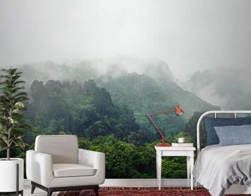 Sisli Dağlar Ve Orman Manzarası Duvar Kağıdı