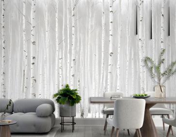 Kışın Huş Ağacı Ormanı Duvar Kağıdı