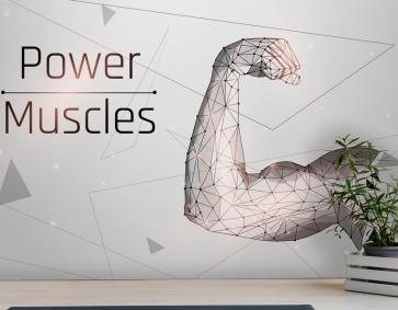 Güçlü Pazı Vücut Geliştirmeci Kasları Gym Duvar Kağıdı