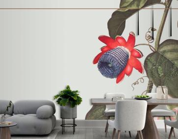 Kanatlı Tutku Çiçeği Dikdörtgen Çerçeve Duvar Kağıdı 