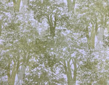 Soft Yeşil Ağaç Desenli Duvar Kağıdı 112018