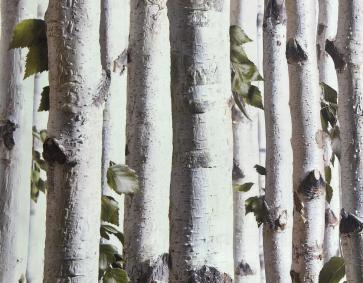 Yapraklı Ağaç Desen Duvar Kağıdı 78511