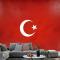 Türk Bayrağı Duvar Kağıdı 3