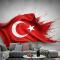 Türk Bayrağı Duvar Kağıdı 8