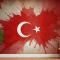 Türk Bayrağı Duvar Kağıdı 15