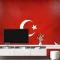 Türk Bayrağı Duvar Kağıdı 3