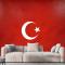 Türk Bayrağı Duvar Kağıdı 3
