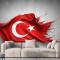 Türk Bayrağı Duvar Kağıdı 8