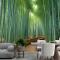 Bambu Ormanı Oasis Duvar Kağıdı 