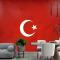 Türk Bayrağı Duvar Kağıdı 3