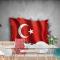 Türk Bayrağı Duvar Kağıdı 9