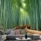 Bambu Ormanı Oasis Duvar Kağıdı 