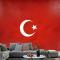 Türk Bayrağı Duvar Kağıdı 3