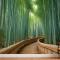 Bambu Ormanı Oasis Duvar Kağıdı 