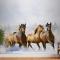 Koşan Atlar Duvar Kağıdı 3D
