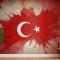 Türk Bayrağı Duvar Kağıdı 15
