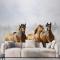 Koşan Atlar Duvar Kağıdı 3D