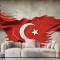 Türk Bayrağı Duvar Kağıdı 10