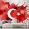 Türk Bayrağı Duvar Kağıdı 19