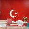 Türk Bayrağı Duvar Kağıdı 3