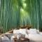 Bambu Ormanı Oasis Duvar Kağıdı 