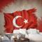 Türk Bayrağı Duvar Kağıdı 11