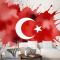 Türk Bayrağı Duvar Kağıdı 19