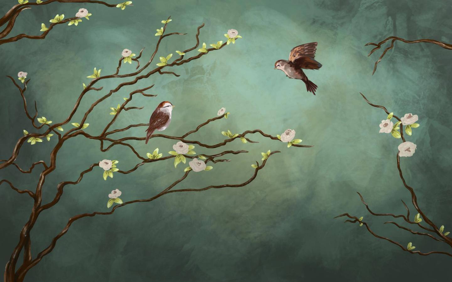 Aşık Güzel Kuşlar Duvar Kağıdı