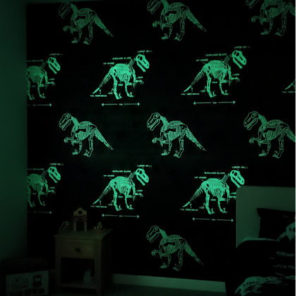Karanlikta Parlayan Dinozorlu Cocuk Odasi Duvar Kagidi 53152 15264 1Png